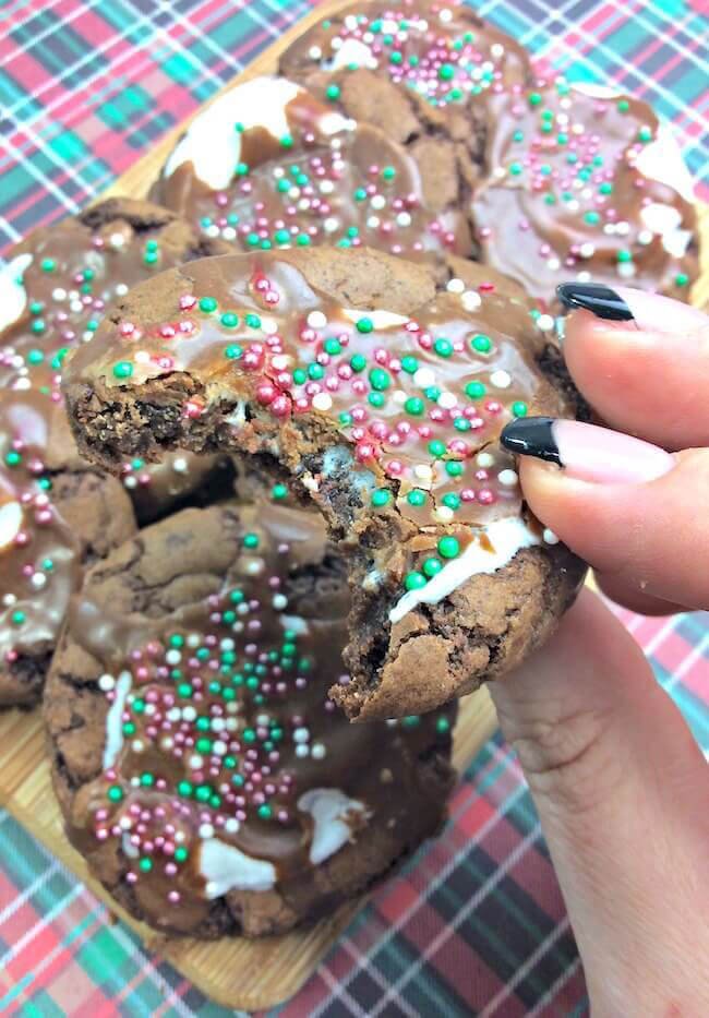 Cocoa Holiday Cookies